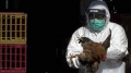 ABD’de H5N5 kuş gribi nedeniyle ilk insan ölümü