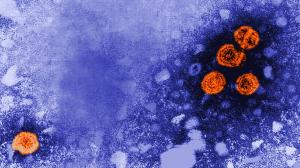 Gizemli hepatit virüsü Kanada'da da görüldü