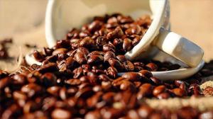 Kahve sevenleri sevindirecek araştırma: Erken ölüm olasılığı daha düşük