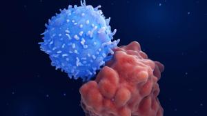CAR-T Hücre Tedavisi: Kanserin çaresi kendi hücrelerimiz olabilir mi?