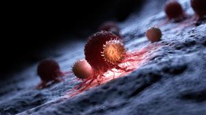 Kanserle mücadelede önemli adım: T hücreleri umut veriyor
