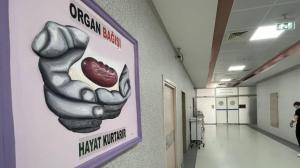 Antalya Eğitim ve Araştırma Hastanesi'nde 8 yılda 132 organ nakli yapıldı