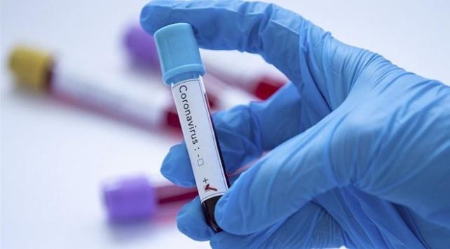 Türkiye'de koronavirüse karşı yeni tedbirler