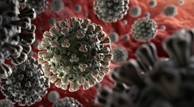 Koronavirüsten iyileşenler tekrar hastalığa yakalanabilir mi?