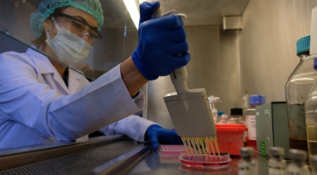 Selçuk Üniversitesi'nin geliştirdiği aşıda hayvan deneyleri tamamlandı