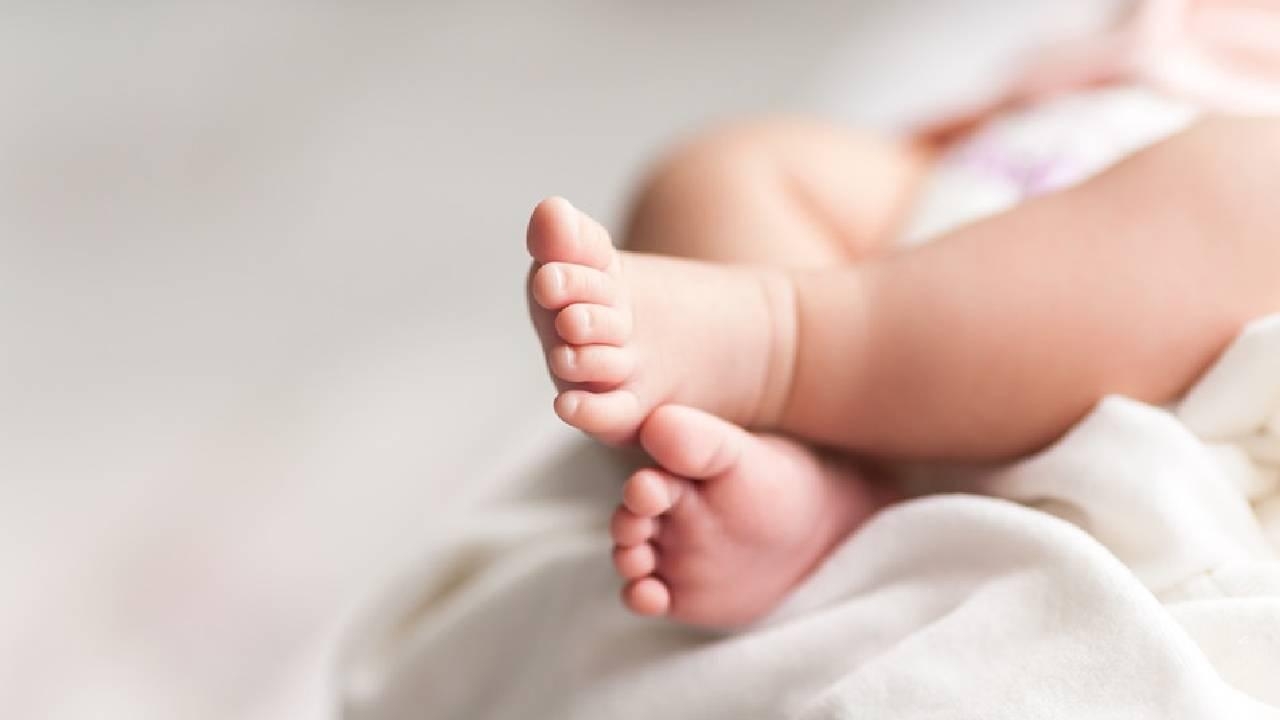 Mikroplastik araştırmasında korkutucu bebek raporu