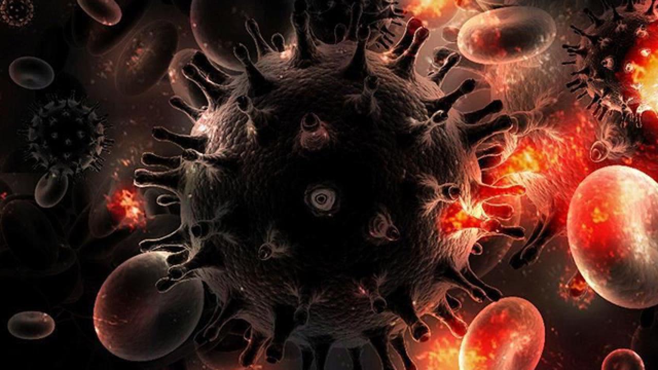 HIV, öldürücü hücreler tarafından tuzağa düşürülebilir