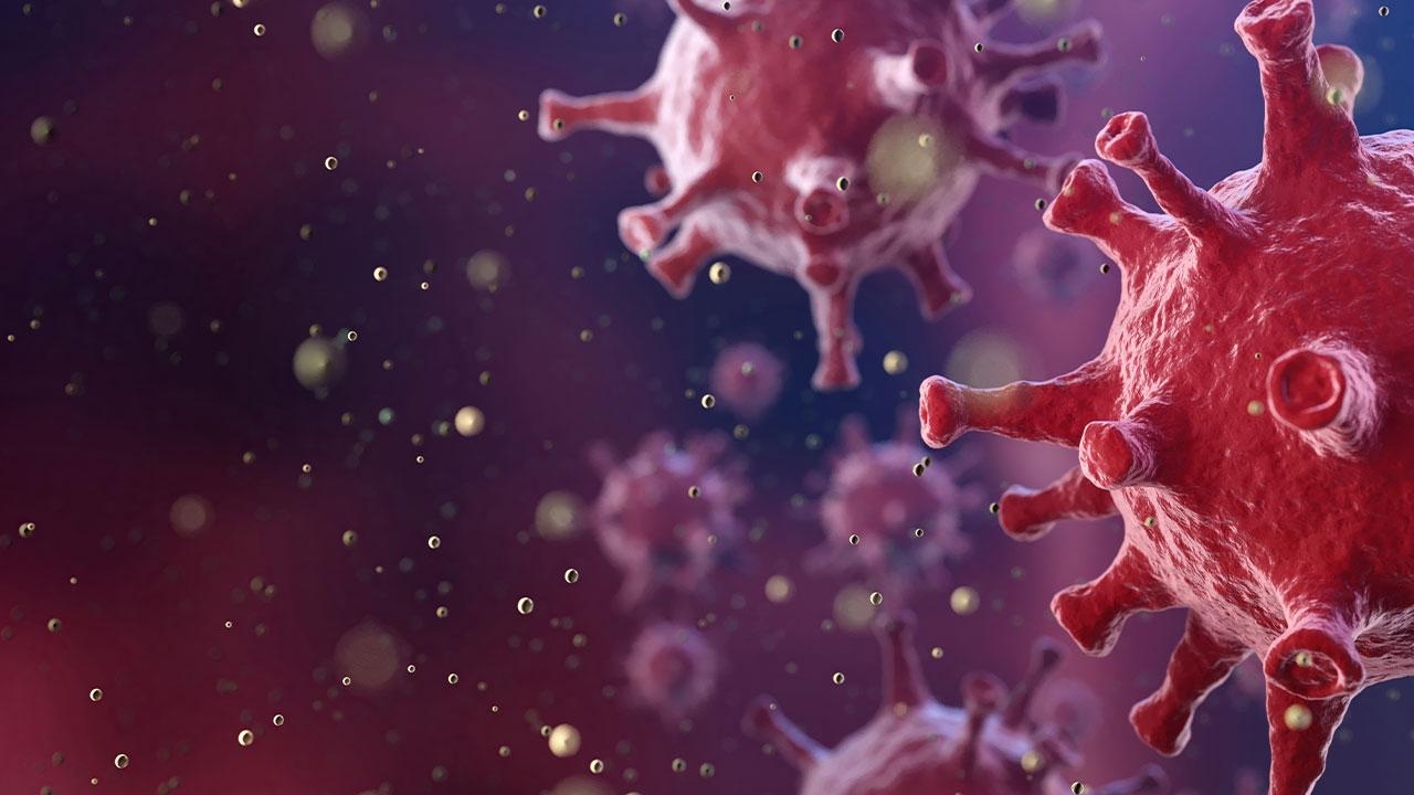 Mutasyonlu virüsün tedavisinde plazma bağışının önemi büyük