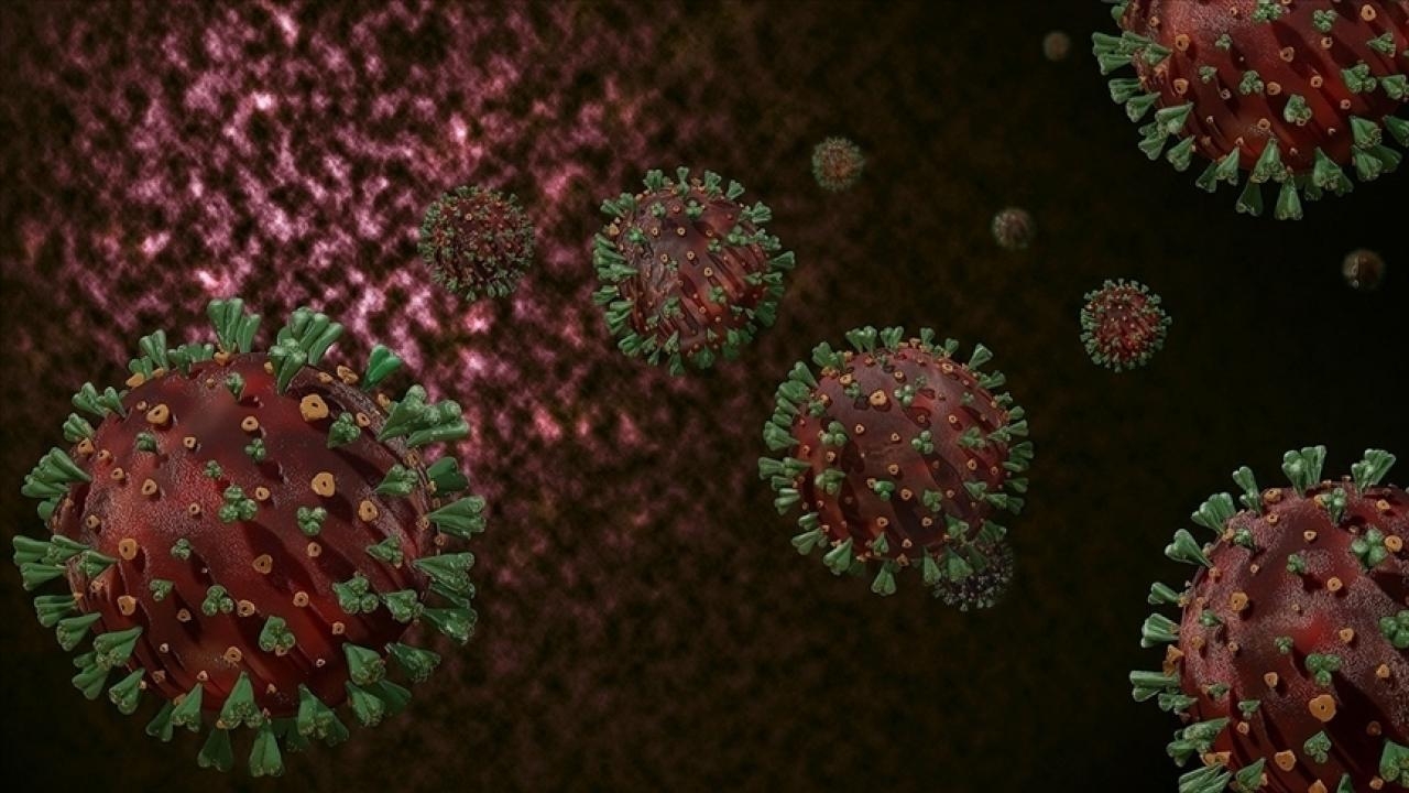 Koronavirüsün iki yeni varyantına karşı tedbirli olmak gerekiyor