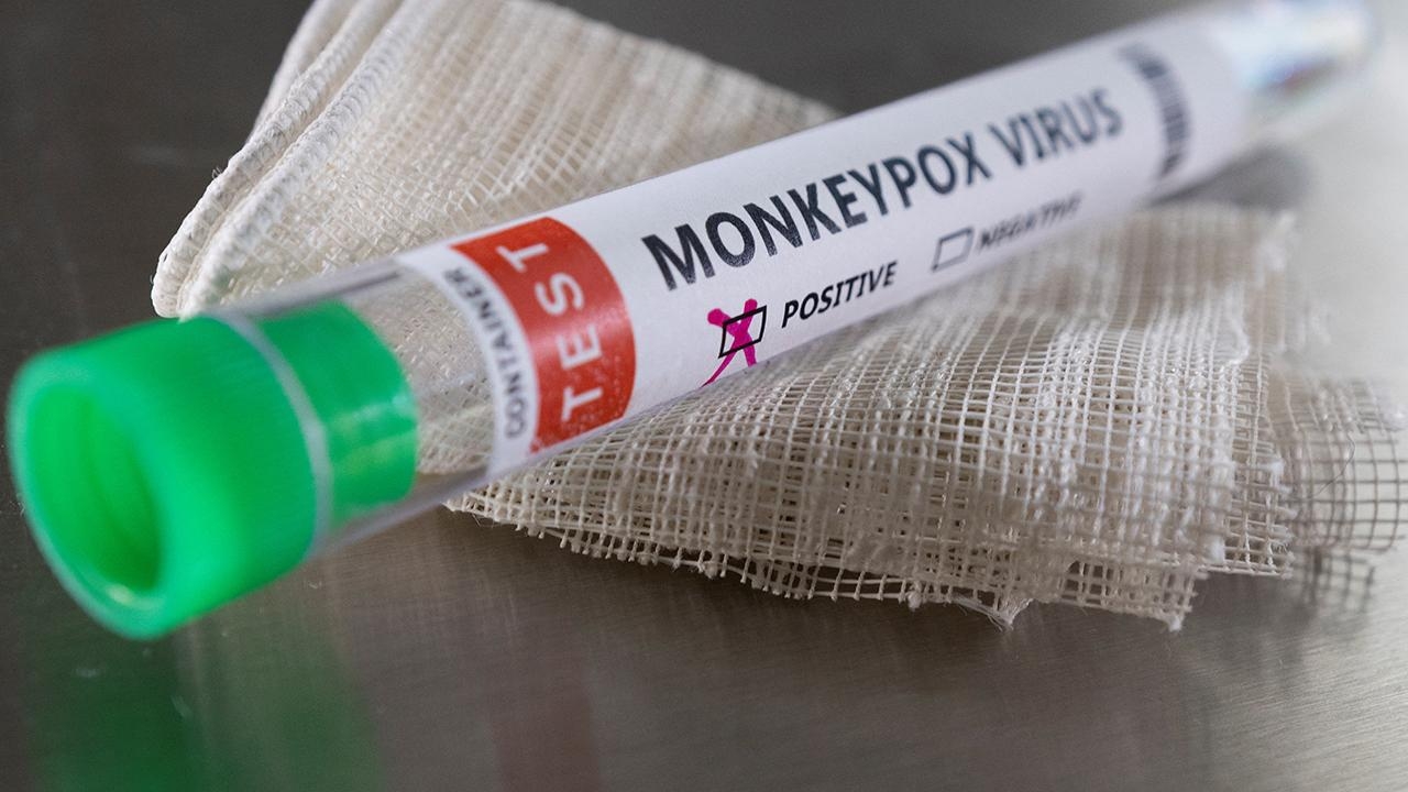 Maymun çiçeğine potansiyel antiviral tedavi
