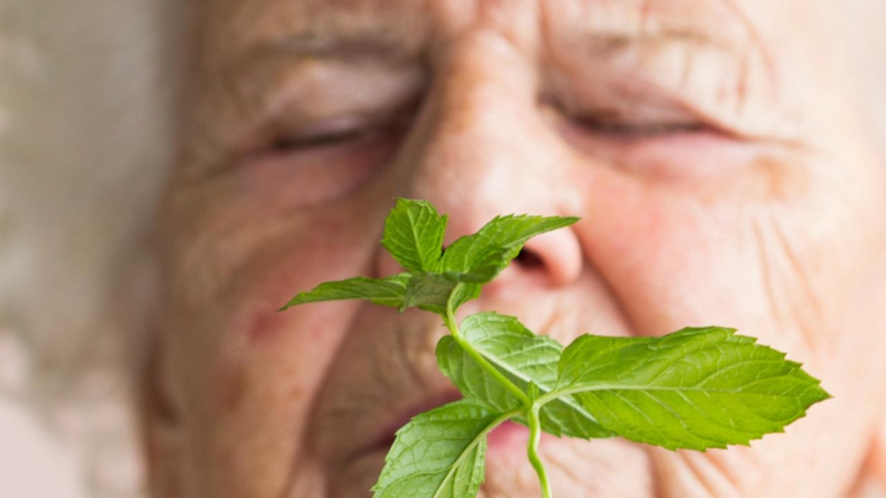 Mentolün Alzheimer hastalarına faydaları keşfedildi