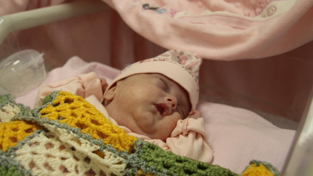 Tüp bebek tedavisinde yeni yöntem: Kemik iliği