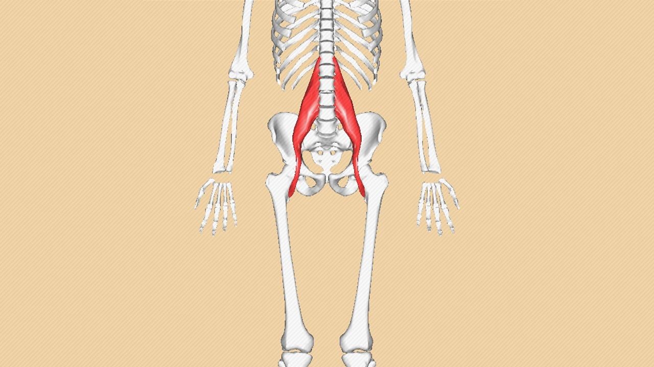 Ruh halini etkileyen kas: Psoas