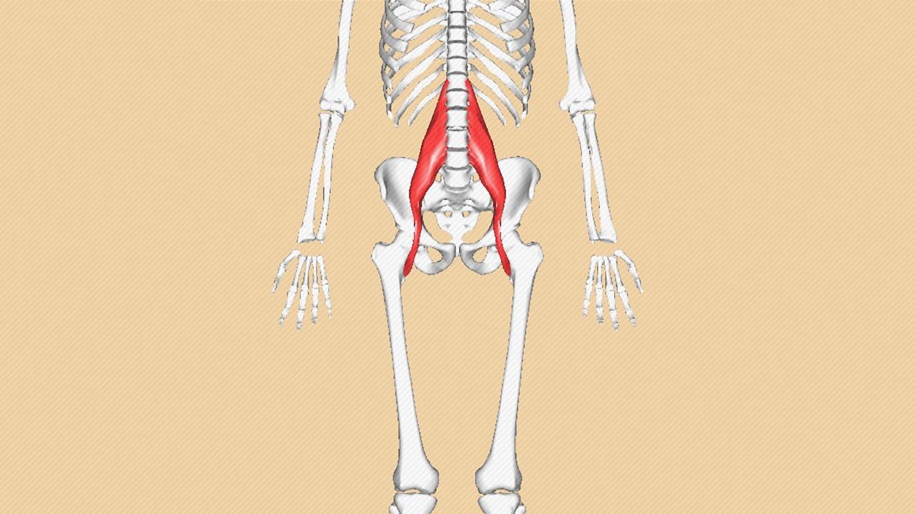 Ruh halini etkileyen kas: Psoas