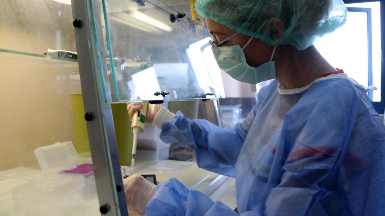 Sinovac aşısının antikor düzeyi araştırması başladı