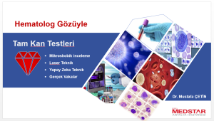 Tam Kan Testleri