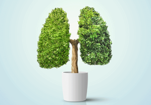 Akciğer Kanserinde Cerrahi Tedavinin Rolü